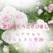 ヒメ日記 2025/05/17 10:25 投稿 かりん 甲府人妻隊