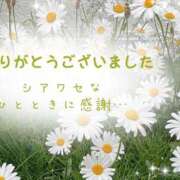 ヒメ日記 2025/06/23 18:01 投稿 かりん 甲府人妻隊