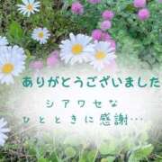 ヒメ日記 2025/06/24 13:26 投稿 かりん 甲府人妻隊