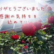ヒメ日記 2026/07/09 09:20 投稿 かりん 甲府人妻隊