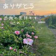 ヒメ日記 2026/08/15 20:20 投稿 かりん 甲府人妻隊