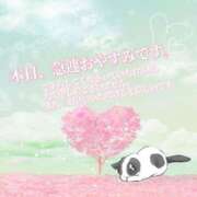 ヒメ日記 2025/04/03 13:27 投稿 ゆうな ぽっちゃりきぶん