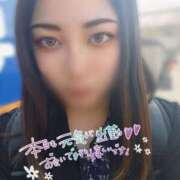 ヒメ日記 2025/04/04 12:09 投稿 ゆうな ぽっちゃりきぶん