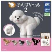 りん 2025-11-21 梅田ゴールデン倶楽部