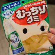 ヒメ日記 2025/02/20 09:30 投稿 りかこ アラモード