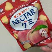 ヒメ日記 2025/04/07 16:17 投稿 りかこ アラモード