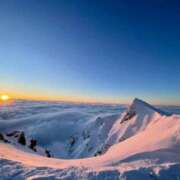 ヒメ日記 2025/04/19 08:41 投稿 りかこ アラモード