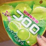 ヒメ日記 2025/05/19 09:31 投稿 りかこ アラモード