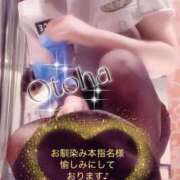 ヒメ日記 2025/01/26 09:30 投稿 おとは 妄想M男キラーエムドグマ・Sドグマ