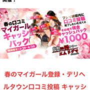 ヒメ日記 2025/03/27 13:00 投稿 おとは 妄想M男キラーエムドグマ・Sドグマ