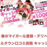 ヒメ日記 2025/03/27 13:20 投稿 おとは 妄想M男キラーエムドグマ・Sドグマ