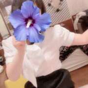 ヒメ日記 2025/03/30 14:41 投稿 おとは 妄想M男キラーエムドグマ・Sドグマ