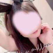 ヒメ日記 2025/03/31 13:00 投稿 おとは 妄想M男キラーエムドグマ・Sドグマ