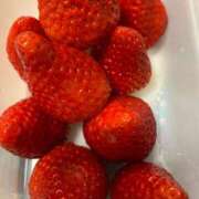 ヒメ日記 2025/04/27 07:00 投稿 いつか 一力茶屋