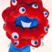 ヒメ日記 2025/06/05 01:33 投稿 いつか 一力茶屋