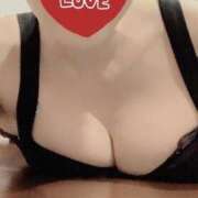 ヒメ日記 2025/08/10 06:06 投稿 いつか 一力茶屋