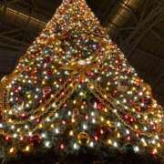 ヒメ日記 2025/12/23 13:18 投稿 いつか 一力茶屋