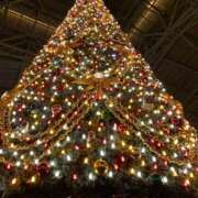 ヒメ日記 2025/12/23 13:23 投稿 いつか 一力茶屋