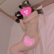 ヒメ日記 2024/12/16 06:36 投稿 マイ ツートップ