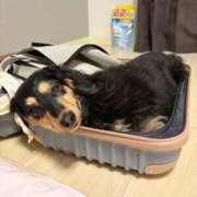 ヒメ日記 2026/01/14 21:38 投稿 みさき ファッションヘルス カリスマ