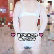 ヒメ日記 2025/03/28 17:45 投稿 れい ファッションヘルス カリスマ