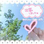 ヒメ日記 2025/04/21 12:17 投稿 れい ファッションヘルス カリスマ