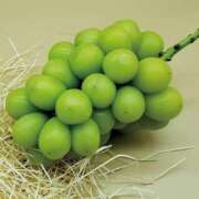 ヒメ日記 2025/09/16 17:09 投稿 安井 人妻楼 熊谷店