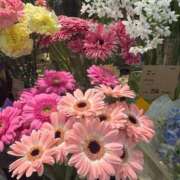 安井 3月23日、月曜日。❤️安井。💕 人妻楼 熊谷店