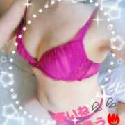 ヒメ日記 2025/11/04 19:35 投稿 沢　ともえ エテルナ京都