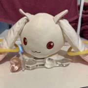 ヒメ日記 2026/02/07 10:37 投稿 ゆう チアガール