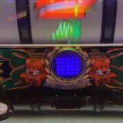 ヒメ日記 2026/03/18 07:53 投稿 ゆう チアガール