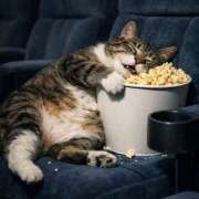 美由紀奥様 出勤 母ちゃんの秘密