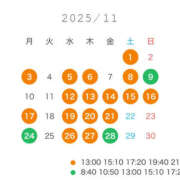 美羽 11月12月の予定です💁🏻‍♀️ 琥珀（こはく）
