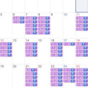 ヒメ日記 2026/01/04 12:26 投稿 美羽 琥珀（こはく）