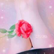 日向(ひなた) おはようございます☀️✨ Ageha（あげは）