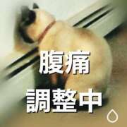 ヒメ日記 2025/02/11 14:44 投稿 彩(あや) ビッグバード