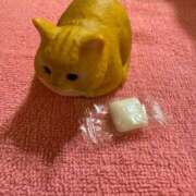 ヒメ日記 2025/02/18 14:19 投稿 彩(あや) ビッグバード