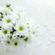 ヒメ日記 2025/04/10 13:34 投稿 彩(あや) ビッグバード