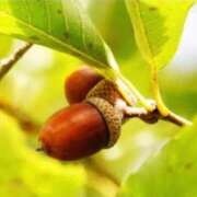 ヒメ日記 2025/10/09 15:14 投稿 彩(あや) ビッグバード