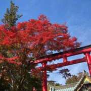 彩(あや) こんにちは ビッグバード