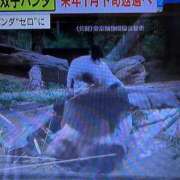 ヒメ日記 2025/12/15 14:52 投稿 彩(あや) ビッグバード