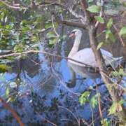 ヒメ日記 2024/12/12 07:54 投稿 笑里(えみり) ビッグバード