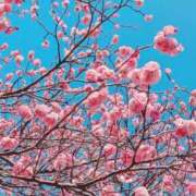 ヒメ日記 2025/02/18 17:24 投稿 笑里(えみり) ビッグバード