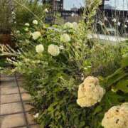 ヒメ日記 2025/06/19 15:24 投稿 笑里(えみり) ビッグバード