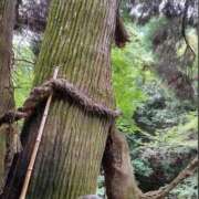 ヒメ日記 2025/08/29 14:04 投稿 笑里(えみり) ビッグバード