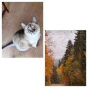 ヒメ日記 2025/09/23 19:34 投稿 笑里(えみり) ビッグバード