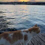 笑里(えみり) こんにちは！ ビッグバード