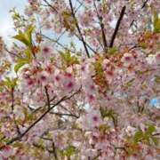 笑里(えみり) こんにちは(*^^*) ビッグバード