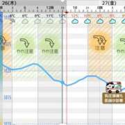 笑里(えみり) へ、偏頭痛… ビッグバード