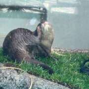 ヒメ日記 2026/03/14 21:01 投稿 なつき 花夫人